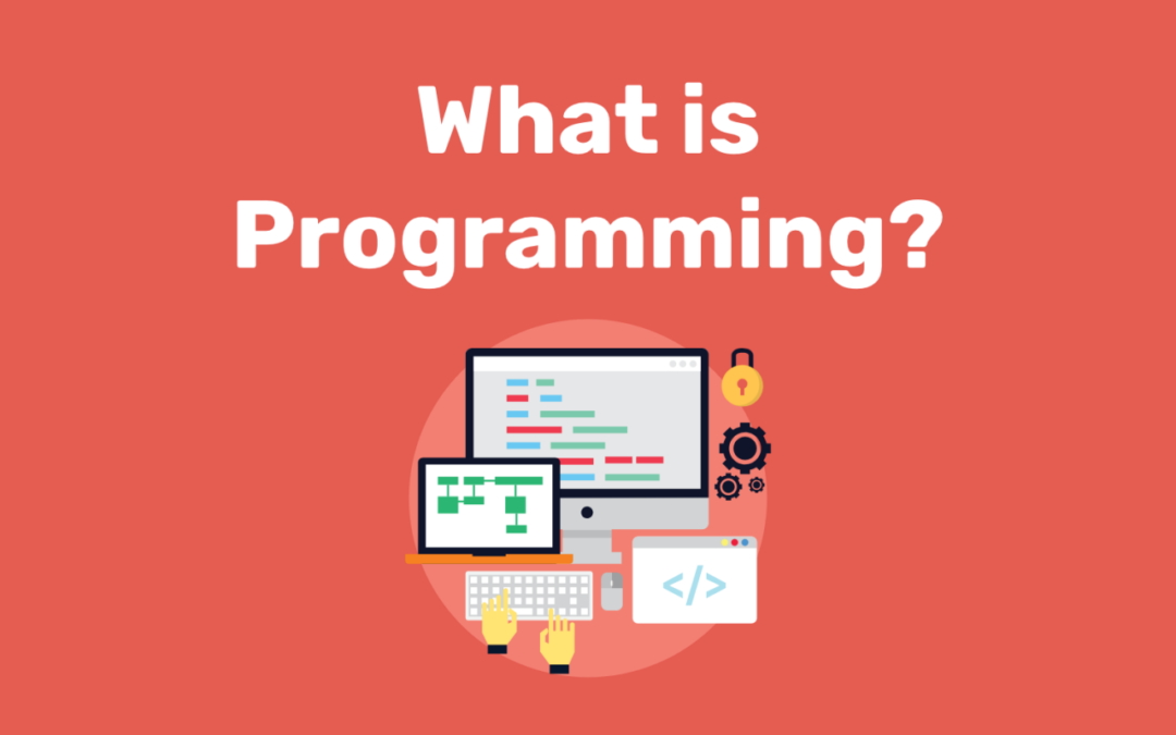 Career in Programming