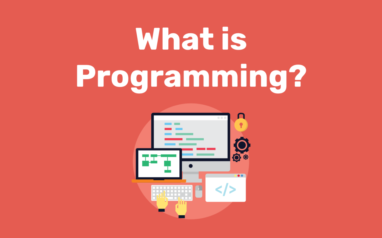 Web программирование. Программирование картинки. What is Programming. Web программирование презентация.